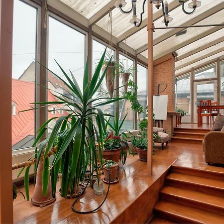 Dandelion Apartment Vecpilsetas Ryga Zewnętrze zdjęcie